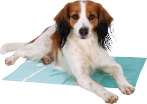 Trixie Mata chłodząca, 50x40 cm, niebieska 2