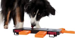Trixie ZABAWKA DLA PSA Dog Activity "Move2Win", 34 × 6 × 13 cm 4
