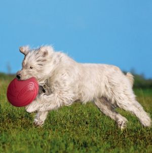 Trixie DYSK DLA PSA KAUCZUK, 15 cm 2