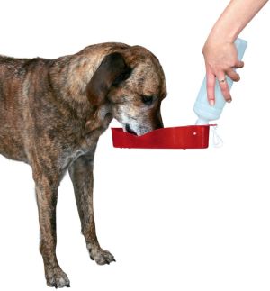 Trixie Butelka z miska, z plastiku 700 ml 2