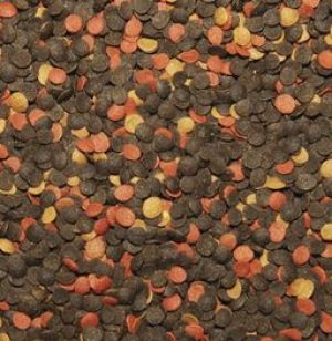 Tropical Malawi Chips - puszka 1000 ml /520 g 2