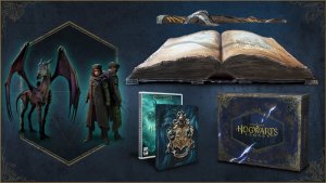 Hogwarts Legacy Collectors Edition (Dziedzictwo Hogwartu) PS4 2