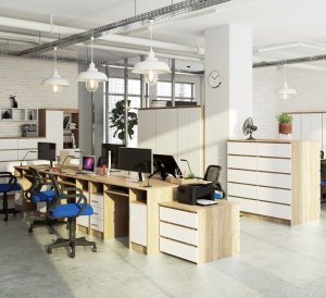 Biurko Elior Biurko dla dzieci i młodzieży dąb sonoma + biały - Delian 2X 3