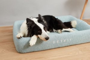 Petkit PETKIT Deep Sleep All Season Pet Bed L Green 2