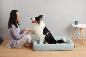 Petkit PETKIT Deep Sleep All Season Pet Bed L Green 4