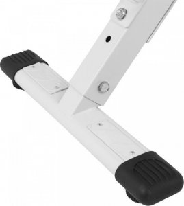 Physionics Trenażer pleców 74 x 13 x 105 cm 2