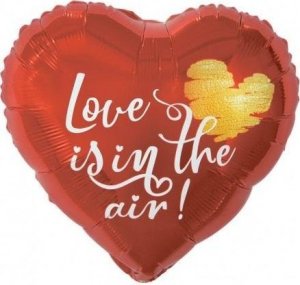 GoDan Balon foliowy Love Is In The Air 46cm 1