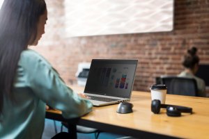 Laptop HP ProBook 450 G8 (43A25EA) 12