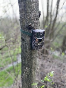 Kamera IP Fotopułapka HC900A - kamera leśna 36Mpx 44IR 15