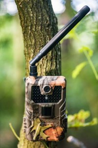 Kamera IP Fotopułapka GSM HC900PRO- kamera leśna 4G LTE - 30 Mpx, 4K 30kl/s Video - podgląd na żywo 10