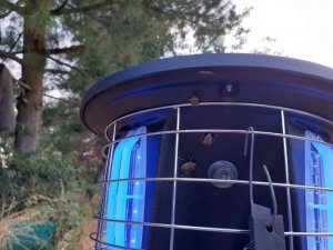 Mo-el Lampa owadobójcza Turbiled 806 CRI-CRI LED UV-A 4