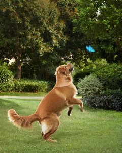 Kamera IP Eufy Kamera EUFY SOLOCAM S40 bezprzewodowa [H] 8