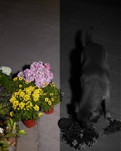 Kamera IP Eufy Kamera EUFY SOLOCAM S40 bezprzewodowa [H] 10