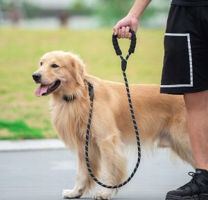 Korbi SMYCZ DLA PSA KOTA ODBLASKOWA MOCNA 2M METRY 2