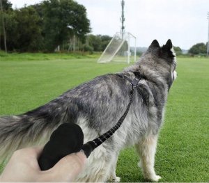 Korbi SMYCZ DLA PSA KOTA ODBLASKOWA MOCNA 2M METRY 3