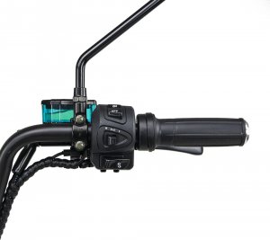 Bili Bike Skuter elektryczny BILI COCO STRONG 3000W niebieski 6