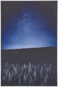 Beliani Obraz na płótnie w ramie nocny krajobraz 63 x 93 cm niebiesko-czarny LORETO! 1