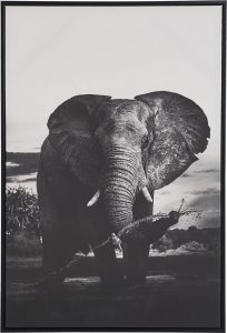 Beliani Lumarko Obraz na płótnie w ramie słoń 63 x 93 cm szary NIBBIA! 1