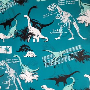 Papier dinozaury do pakowania prezentów 70cmx2m 98m70 1
