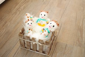 sophielagirafe MAŁY ZESTAW NARODZINOWY NR 5 9