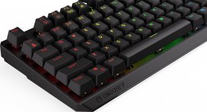 Klawiatura Endorfy Thock TKL Kailh Blue (EY5A001) 16
