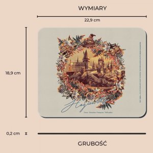 Podkładka Babaco Podkładka pod mysz Harry Potter 222 Harry Potter Wielobarwny 3