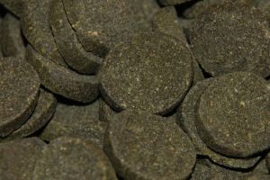 HIKARI MINI ALGAE WAFERS 22 G 2