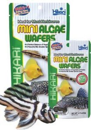 HIKARI MINI ALGAE WAFERS 22 G 4