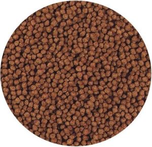 HIKARI BETTA BIO-GOLD 5 G 2