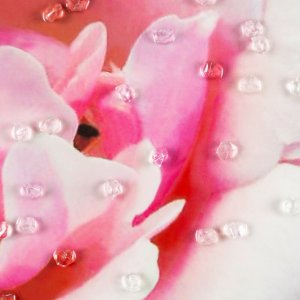 Eurofirany Obraz z kryształkami kobieta z kwiatem WOMEN 60X60 różowy 1