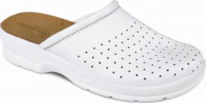 CERVA TARUCA LADY OB 38 2