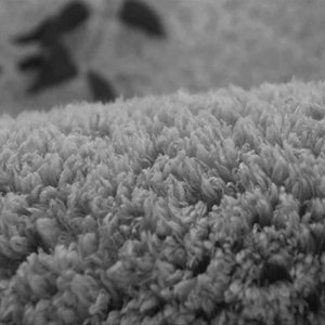 Strado Dywan Alpaca Strado 200x300 AlpacaGrey (Szary) uniwersalny 8