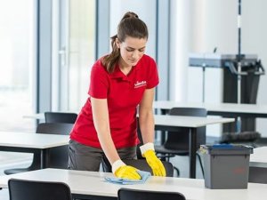 Vileda Vileda Ścierka R-Micro Tuff Swift Niebieska 168755.. 7