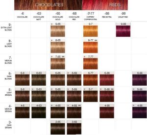 Schwarzkopf Professional Igora Royal Farba do włosów 60 ml Highlifts 10-21 3