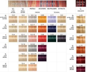 Schwarzkopf Professional Igora Royal Farba do włosów 60 ml Highlifts 10-21 4