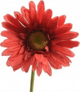 Kaemingk Gerbera czerwona sztuczna do wazonu 50 cm 1