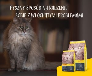 Josera Catelux Adult z kaczką i ziemniakami 10kg 5