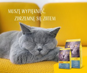 Josera Léger Adult Light 10kg 5