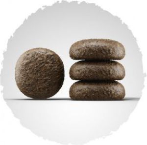 Josera Festival 15kg + 2x900g 2