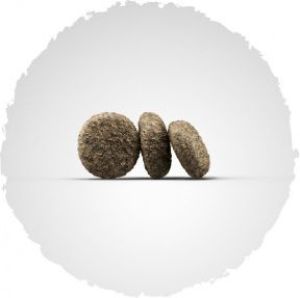 Josera MinisBest Junior & Mini - 15 kg 2