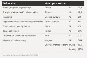 Josera MinisBest Junior & Mini - 15 kg 4