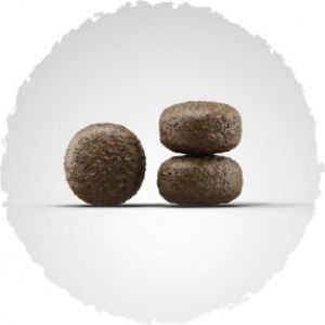 Josera Lamm&Reis 15kg + 2x900g 2