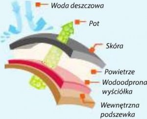STEELITE FW57 - Trwały wodoodporny trzewik Steelite All Weather - brązowy 45 3
