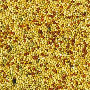 Tropical TROPIFIT 700g BUDGIE-PAPUGA FALISTA 2