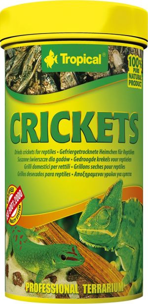 Tropical Pokarm dla gadów Crickets puszka 250ml/6szt (11194) 1