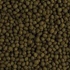 Tropical FLOWER HORN ADULT pellet 500ml 2