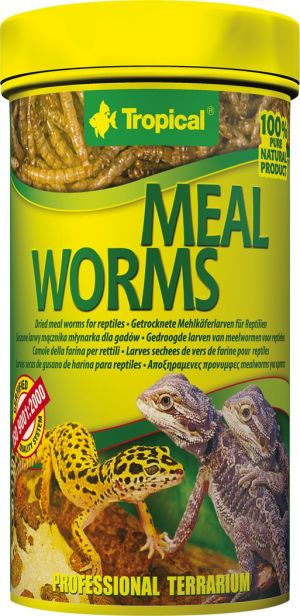 Tropical MEAL WORMS 250ml PUSZKA 1