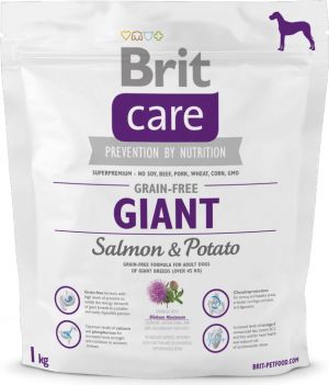 Brit Care Grain-free Giant Salmon & Potato - 1 kg 1