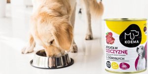 Koema Karma Mokra Psa 90%Mięsa Mix5Szt Krem Orzechowy do smarowania 15