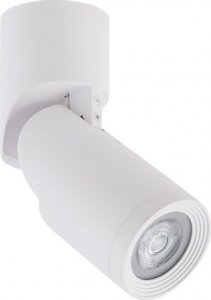 Lampa sufitowa Nowodvorski Oprawa sufitowa spot oczko LED Nowodvorski MIKE 7660 aluminium, biały 1